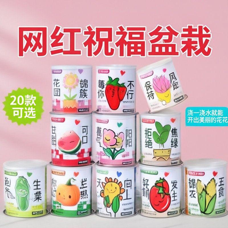 办公室迷你植物小盆栽青草种植草头娃娃diy盆栽礼品礼物罐装桌面
