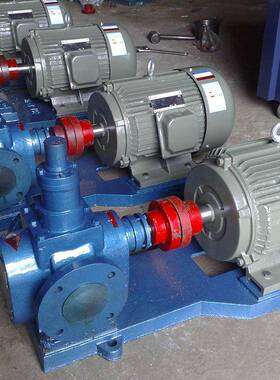 供应YCB20/0.6不锈钢圆弧磁力泵化工磁力泵电动磁力齿轮油泵