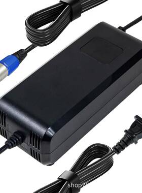 YZPOWER新款带显示充电器29.2V5A7A42V5A54.6V4A58.4V58.8V4