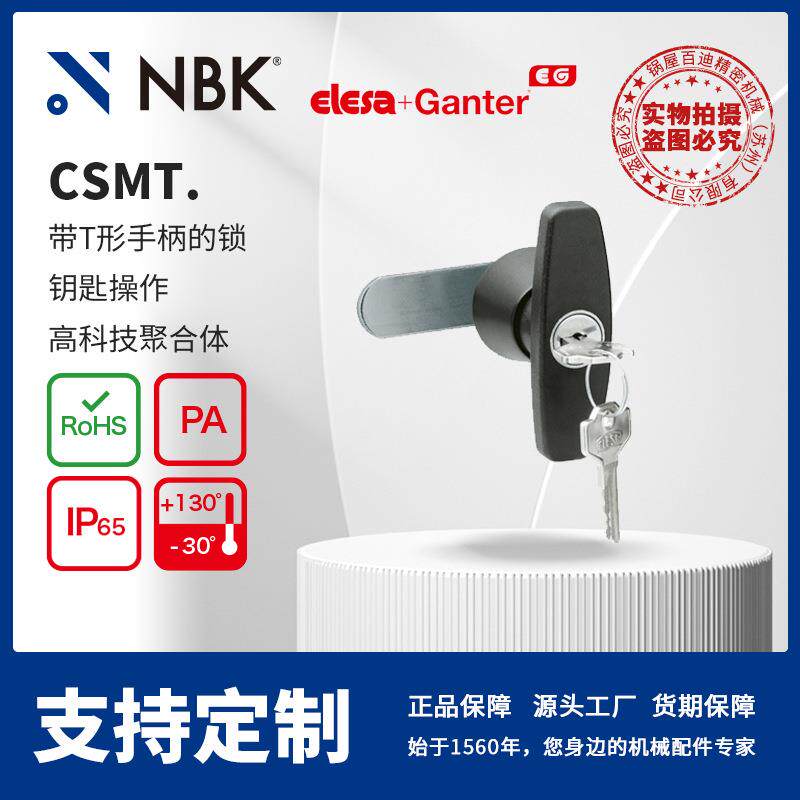NBKELESACSMT.带T形手柄的锁钥匙操作机械零配件