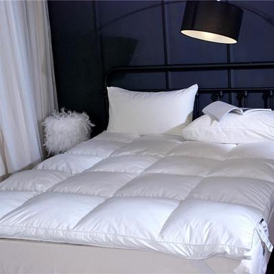 超柔软型榻榻米床垫子加厚垫被床褥子单双人1.8m席梦思床垫保护垫