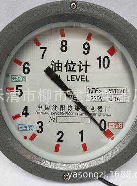 YZF2-200THYZL-250变压器指针式油位计油枕油位仪表