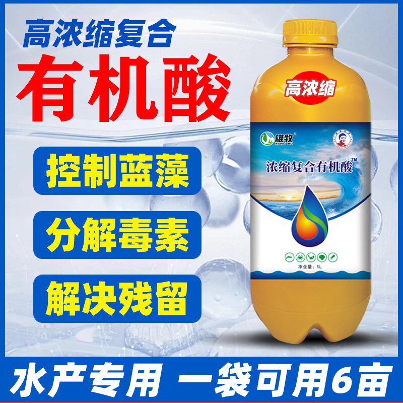 高浓缩复合有机酸分解毒水产养殖鱼虾蟹塘分解毒水除油膜水质净化