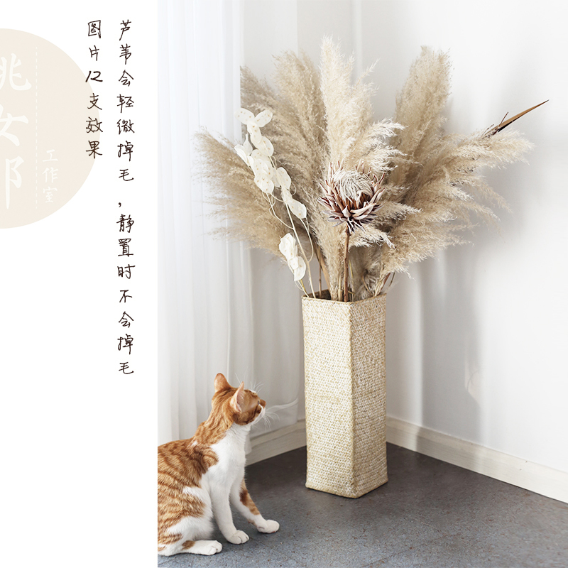 桃女郎 网红芦苇干花装饰花束草落地摆件长穗大蒲苇家居摆件客厅