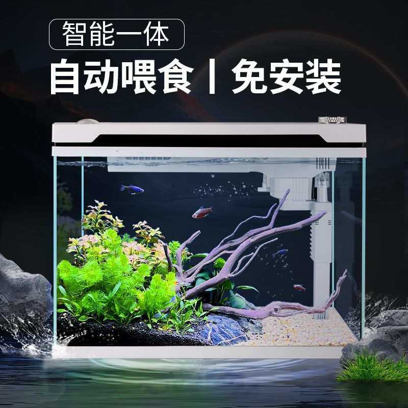 2025新款自动喂食免换水免安装恒温除菌生态超白玻璃客厅小型鱼缸