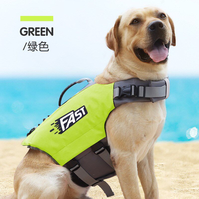 中大型犬救生衣游泳衣柴犬哈士奇边牧萨摩耶金毛拉布拉多德牧柯基