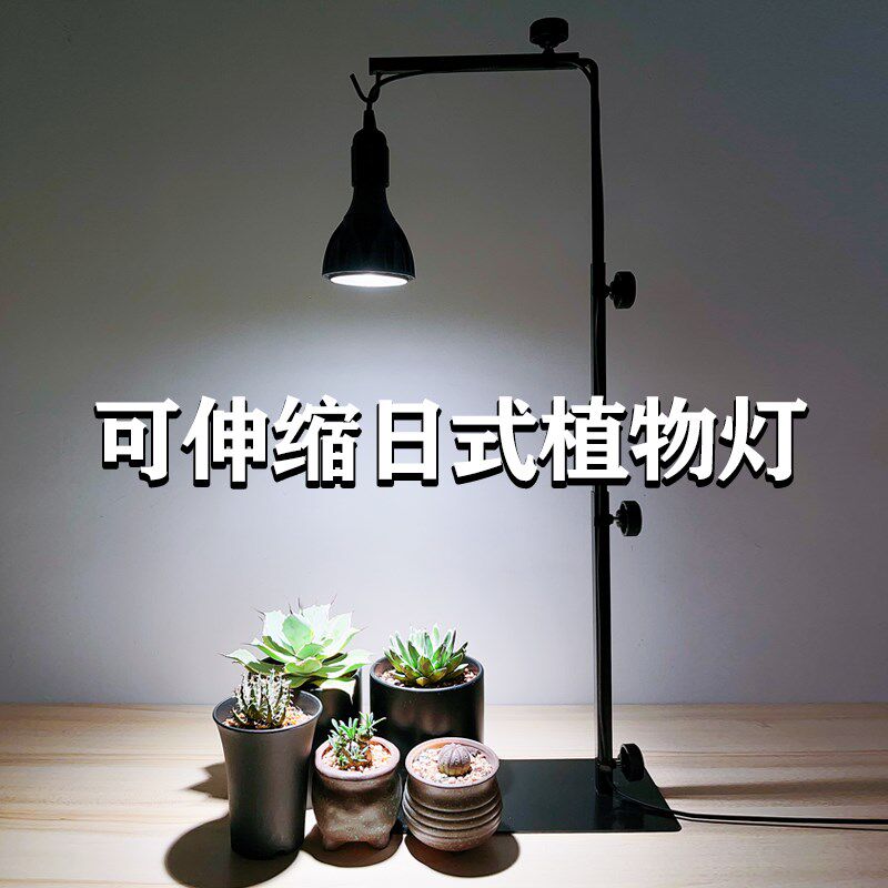 植物补光灯支架立式块根植物架子桌面绿植龟甲龙龙舌兰造景爬虫架