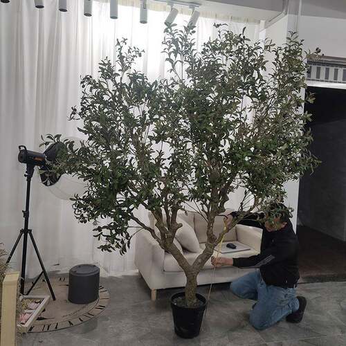 艺卉仿真树橄榄树仿真绿植造景工程室内装饰假树大型Y型外贸