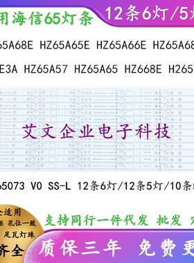 全新适用海信H65E3A-Y HZ65A57 HZ65A65 灯条 LB65073 V0 SS-L凹