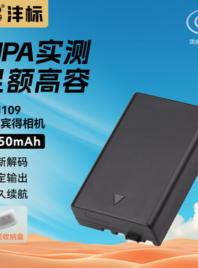 沣标D-Li109相机电池适用宾得K50 K30 K70 K500 KR KP K2 KS2 KS1 DLI109数码相机电池充电器套装