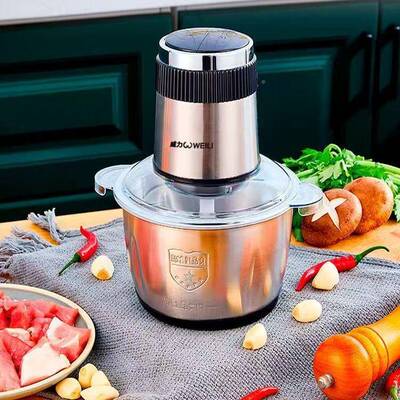 威力多功电动5L容量大拌绞肉机家用肉能馅搅机不锈钢料理机玻9951