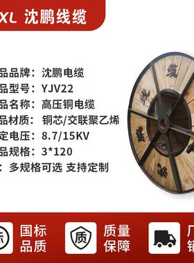 铜芯10kv压电缆jv22-3*70y/95/12y高jv高压电缆843国标厂0家销售