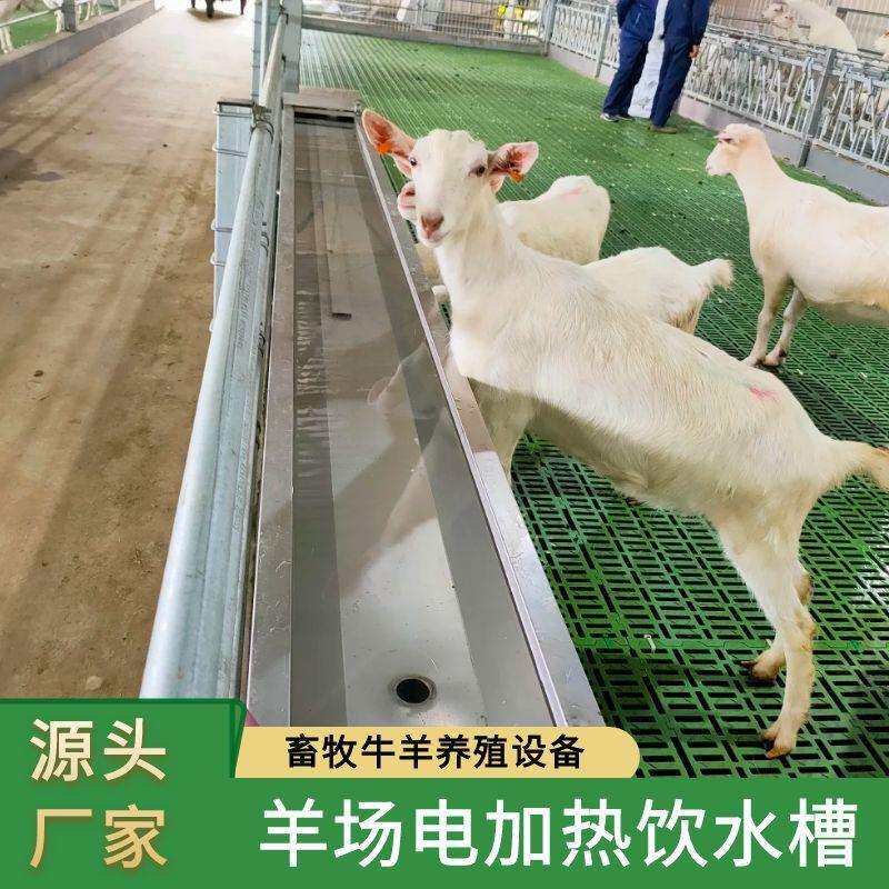 苏牧重工羊用双层电加热恒温饮水槽加厚不锈钢全自动上水自动加热