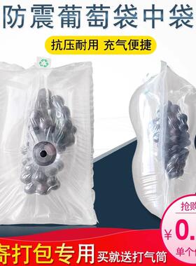 真层空袋双防摔防压缓水冲果包袋ZXY快装递打包填充袋新品葡萄包