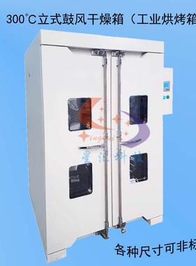 300℃立式电热恒温鼓风干燥箱 XH-3000AE尺寸：1200*1200*1600mm