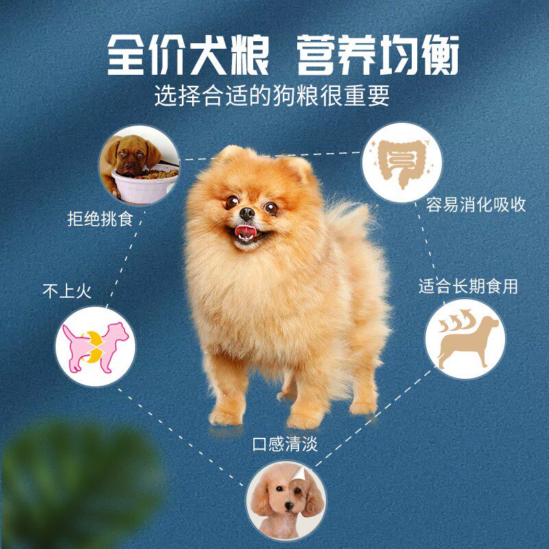 买一送一共2KG 泰迪狗粮小型犬成年犬贵宾比熊法斗幼犬粮通用型