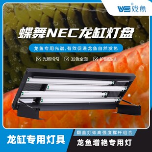 戏鱼碟舞鱼缸灯盘龙鱼专用大型烤色灯架全光谱诱色翻盖鱼缸灯定制