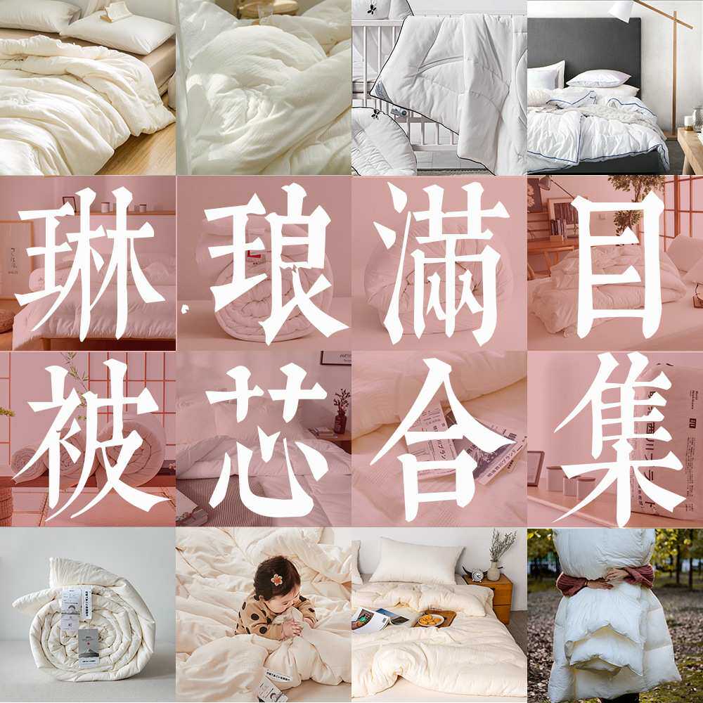 被褥 被芯子 成人 单双人 婴儿 春秋被 大豆被加厚冬 薄夏被