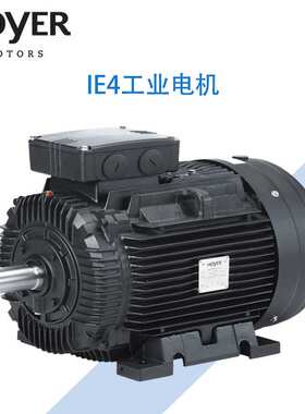 丹麦HOYER霍尔电机HMA3/HMC3铝壳/铸铁三相异步交流工业电动机IE3