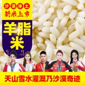 新疆羊脂米新疆生产建设兵团官方旗舰店胚芽籽大塔克拉玛干沙漠