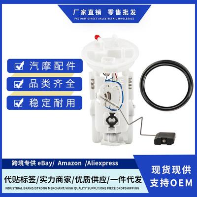 FG0415,1520992,16146766942, 228222009002Z燃油泵总成适用BMW