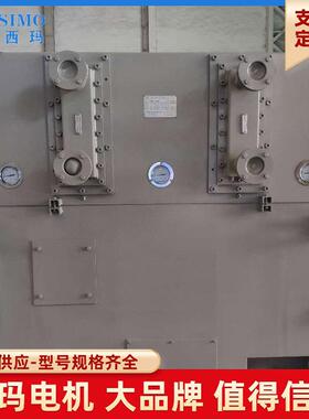 H级绝缘等级 泰富西玛YXKS4502-6 630KW 6KV 六级 立式IMV1 纯铜