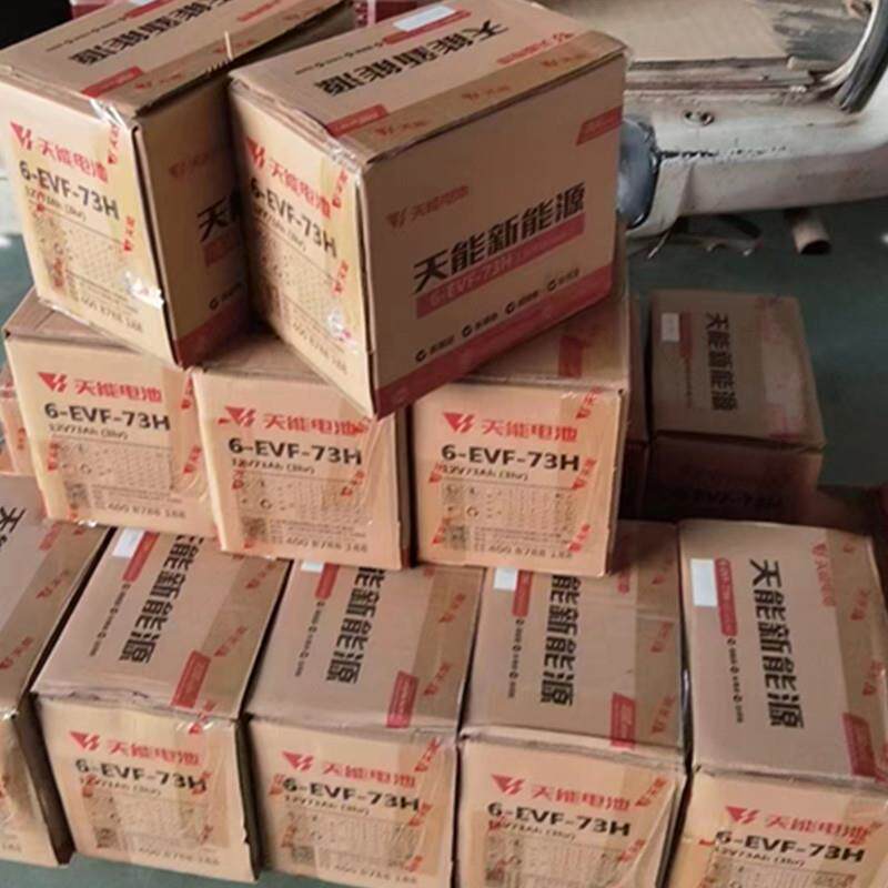 6-EVF-73三轮车电瓶48V73AH天能蓄电池60V73A四轮车洗地机电池