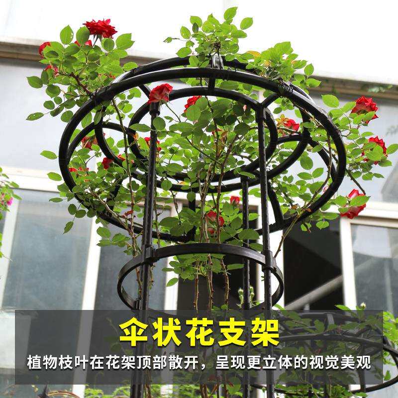 伞型植物爬藤架园艺藤本类月季绿萝爬藤花支架支柱玫瑰盆栽支撑杆