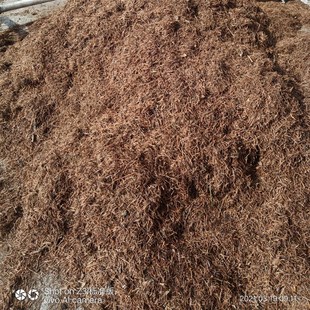 花卉君子兰专用松针天然腐熟落叶松松针无土松针花土拌土用松针