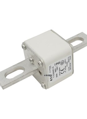 巴斯曼170M3173 170M4158 170M4159  低压保险丝诚信经营货源充足