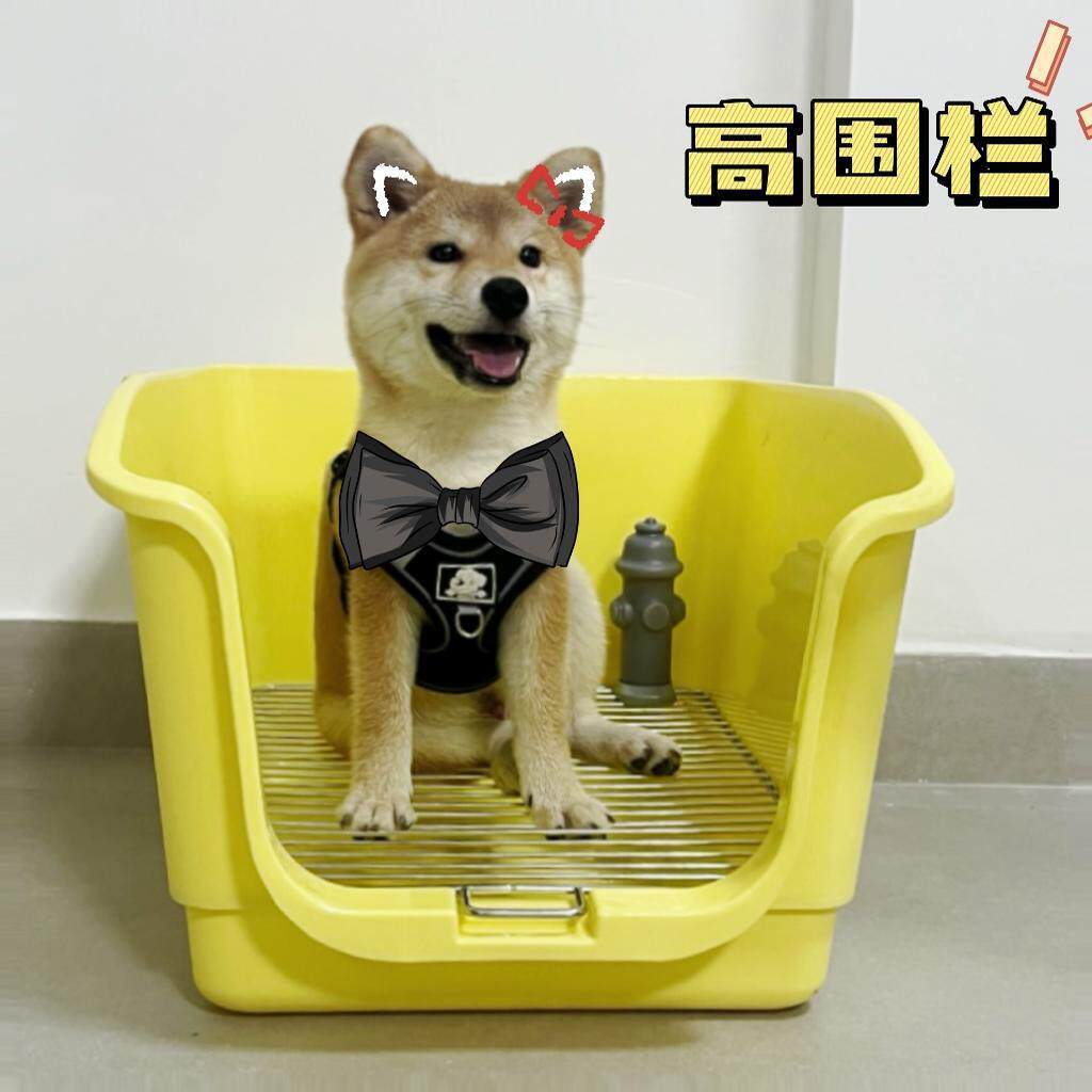 宠物狗厕所小型犬定点排便狗尿盆其它元器件