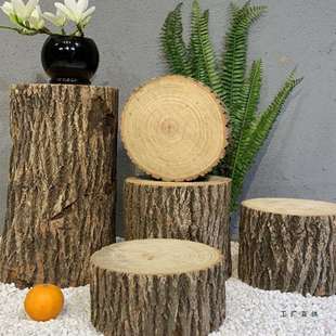 木墩带树皮田园tian然树桩花架实木根雕香樟木原木摆件圆形