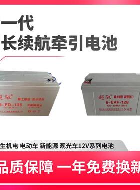 牵引型12V100AH10H80AH120AH铅酸老款免维护观光车蓄电池