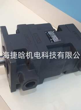 YLC仙居永灵 液压油泵 YB1-6.3 YB1-10 中压叶片泵