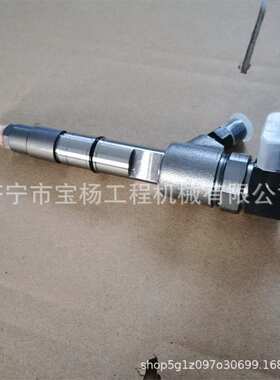 0445110791共轨喷油器0445110792 0433172539喷油嘴总成