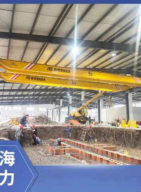 5吨葫芦双梁行吊厂家上海厂房车间5t航吊厂家安装5吨双轨起重机