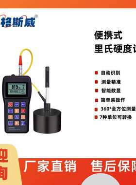 艾格斯威EH110便携式里氏硬度计 自动识别 测量精准 智能数显