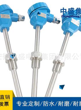 安徽天长仪表中盛仪表WZPK-248L1=700mmL2=100mmSUS304