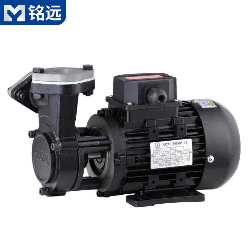 模温机配件高温泵0.37KW油温机循环泵模温机油泵