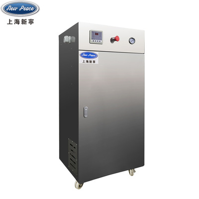 上海厂家销售功率45kw电锅炉WDR0.068-0.7电蒸汽发生器