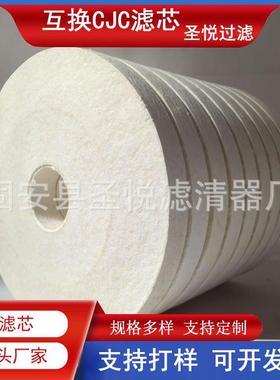 互换CJC滤芯PA5600302PA5600301离线精滤器滤芯A38/60聚酯混合