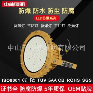 防爆灯LED灯60w工业防水防尘防腐泛光灯加油站工厂防爆投光灯