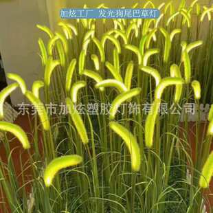 户外发光狗尾巴草地插灯网红景区公园广场街道景观亮化装饰草坪灯