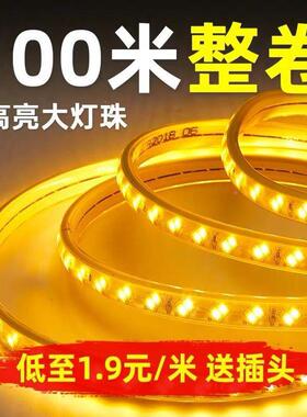 AMI10d0米套装-eled灯带高亮变光家跑用客厅吊顶户外马光带220Vl