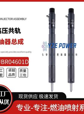 E2JBR04601D适用双龙路帝.7EJBR0460德尔福喷油器T6650170321雷斯