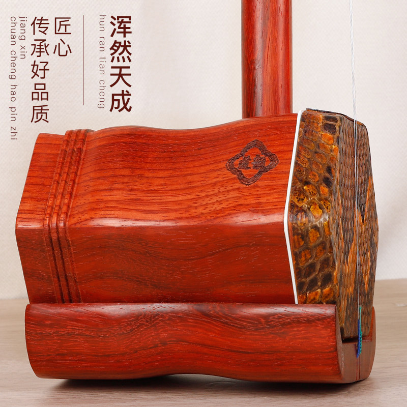 道韵红木二胡乐器厂家直销初学者考级专业演奏级二胡琴送琴盒琴码