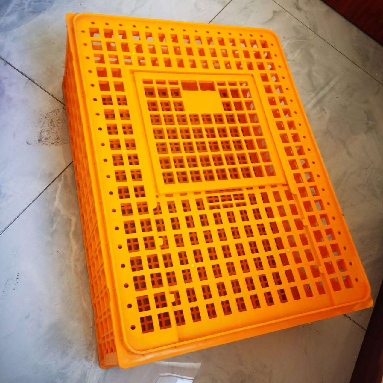 鸡笼周转箱鸡鸭周转笼装鸡的塑料框鸭笼家禽鸡用运输笼周转筐机械