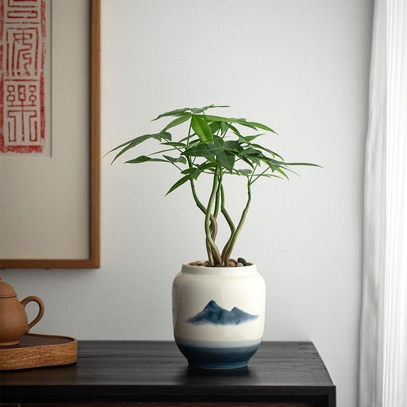 桌面花卉植物树盆栽室内桌面花卉植物四季常青好养奇趣树绿植