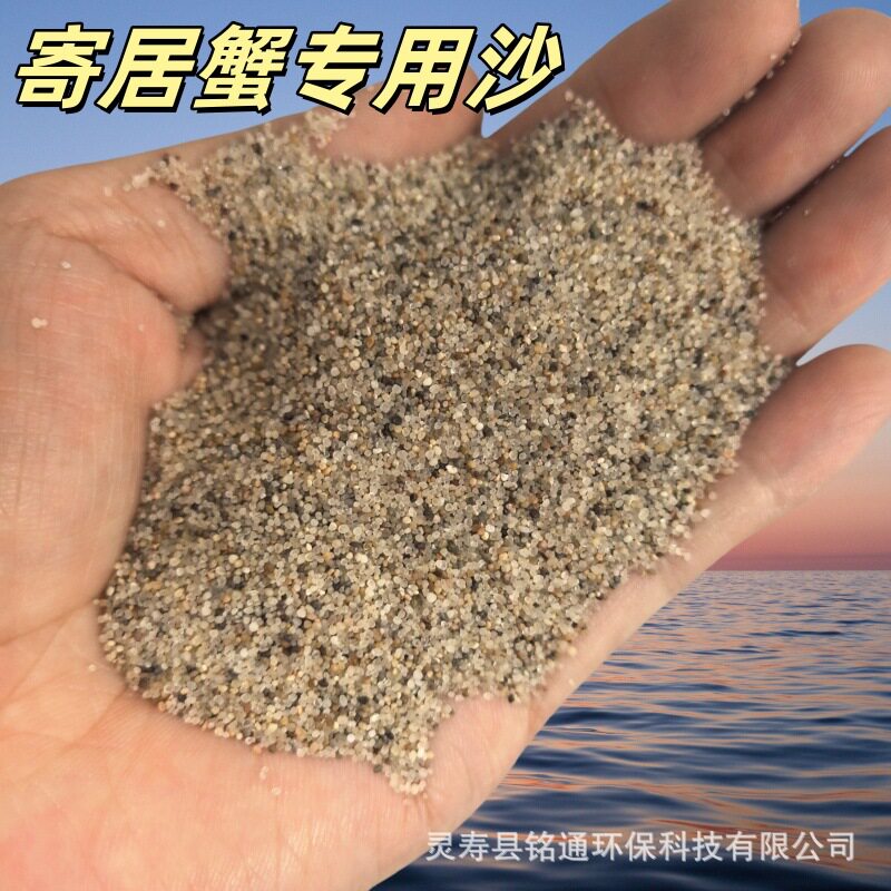 免洗寄居蟹沙鱼缸底砂爬宠沙水草螃蟹底砂海沙圆粒石英砂 挖宝沙