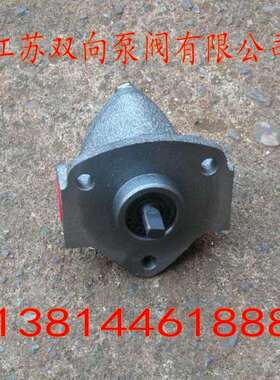 微型油泵BRB-1BRB-2BRB-3双向润滑泵摆线泵电动油泵小齿轮泵